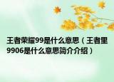 王者荣耀99是什么意思（王者里9906是什么意思简介介绍）
