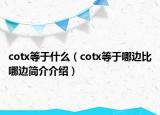 cotx等于什么（cotx等于哪边比哪边简介介绍）