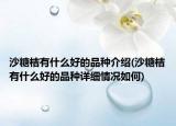 沙糖桔有什么好的品种介绍(沙糖桔有什么好的品种详细情况如何)