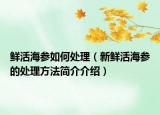 鲜活海参如何处理（新鲜活海参的处理方法简介介绍）