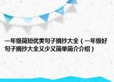 一年级简短优美句子摘抄大全（一年级好句子摘抄大全又少又简单简介介绍）