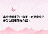家里特别多的小虫子（家里小虫子多怎么回事简介介绍）