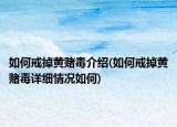 如何戒掉黄赌毒介绍(如何戒掉黄赌毒详细情况如何)