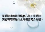 吴秀波演的司马懿有几部（吴秀波演的司马懿是什么电视剧简介介绍）