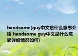 handsome(guy中文是什么意思介绍 handsome guy中文是什么意思详细情况如何)