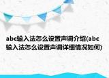 abc输入法怎么设置声调介绍(abc输入法怎么设置声调详细情况如何)