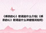 《感恩的心》歌词是什么介绍(《感恩的心》歌词是什么详细情况如何)