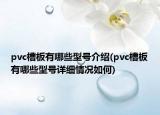 pvc槽板有哪些型号介绍(pvc槽板有哪些型号详细情况如何)