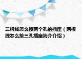 三根线怎么接两个孔的插座（两根线怎么接三孔插座简介介绍）