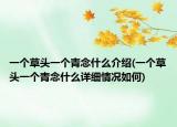 一个草头一个青念什么介绍(一个草头一个青念什么详细情况如何)