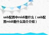 usb配置中midi是什么（usb配置midi是什么简介介绍）