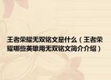 王者荣耀无双铭文是什么（王者荣耀哪些英雄用无双铭文简介介绍）