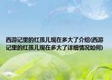西游记里的红孩儿现在多大了介绍(西游记里的红孩儿现在多大了详细情况如何)