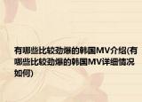 有哪些比较劲爆的韩国MV介绍(有哪些比较劲爆的韩国MV详细情况如何)
