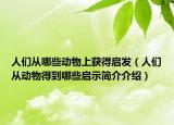 人们从哪些动物上获得启发（人们从动物得到哪些启示简介介绍）