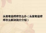 头发老是痒痒怎么办（头发老是痒痒怎么解决简介介绍）