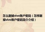 怎么刷掉vivo账户密码（怎样刷掉vivo账户密码简介介绍）