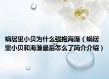 蜗居里小贝为什么强抱海藻（蜗居里小贝和海藻最后怎么了简介介绍）