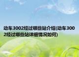 动车3002经过哪些站介绍(动车3002经过哪些站详细情况如何)