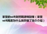 家里的wifi突然网速特别慢（家里wifi网速为什么突然慢了简介介绍）