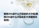 胸围34b是什么尺码是多大介绍(胸围34b是什么尺码是多大详细情况如何)