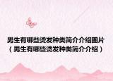 男生有哪些烫发种类简介介绍图片（男生有哪些烫发种类简介介绍）