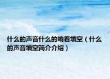 什么的声音什么的响着填空（什么的声音填空简介介绍）