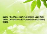 动画片《海尔兄弟》中海尔兄弟分别叫什么名字介绍(动画片《海尔兄弟》中海尔兄弟分别叫什么名字详细情况如何)