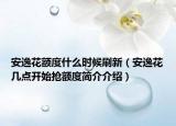 安逸花额度什么时候刷新（安逸花几点开始抢额度简介介绍）