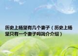历史上杨坚有几个妻子（历史上杨坚只有一个妻子吗简介介绍）