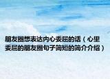 朋友圈想表达内心委屈的话（心里委屈的朋友圈句子简短的简介介绍）