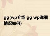 gg(wp介绍 gg wp详细情况如何)