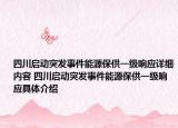 四川启动突发事件能源保供一级响应详细内容 四川启动突发事件能源保供一级响应具体介绍