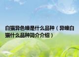 白猫异色瞳是什么品种（异瞳白猫什么品种简介介绍）