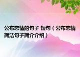 公布恋情的句子 短句（公布恋情简洁句子简介介绍）