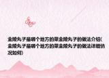 金陵丸子是哪个地方的菜金陵丸子的做法介绍(金陵丸子是哪个地方的菜金陵丸子的做法详细情况如何)
