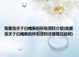 我要找关于白鳍豚的所有资料介绍(我要找关于白鳍豚的所有资料详细情况如何)