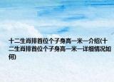 十二生肖排首位个子身高一米一介绍(十二生肖排首位个子身高一米一详细情况如何)