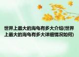 世界上最大的海龟有多大介绍(世界上最大的海龟有多大详细情况如何)