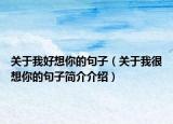 关于我好想你的句子（关于我很想你的句子简介介绍）