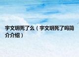 宇文玥死了么（宇文玥死了吗简介介绍）