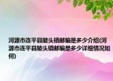 河源市连平县陂头镇邮编是多少介绍(河源市连平县陂头镇邮编是多少详细情况如何)