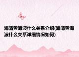 海清黄海波什么关系介绍(海清黄海波什么关系详细情况如何)