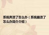 系统奔溃了怎么办（系统崩溃了怎么办简介介绍）