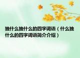 独什么独什么的四字词语（什么独什么的四字词语简介介绍）