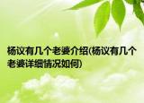 杨议有几个老婆介绍(杨议有几个老婆详细情况如何)