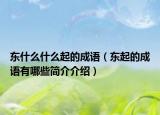 东什么什么起的成语（东起的成语有哪些简介介绍）
