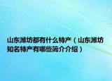 山东潍坊都有什么特产（山东潍坊知名特产有哪些简介介绍）
