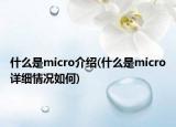 什么是micro介绍(什么是micro详细情况如何)