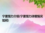 宁夏恒力介绍(宁夏恒力详细情况如何)